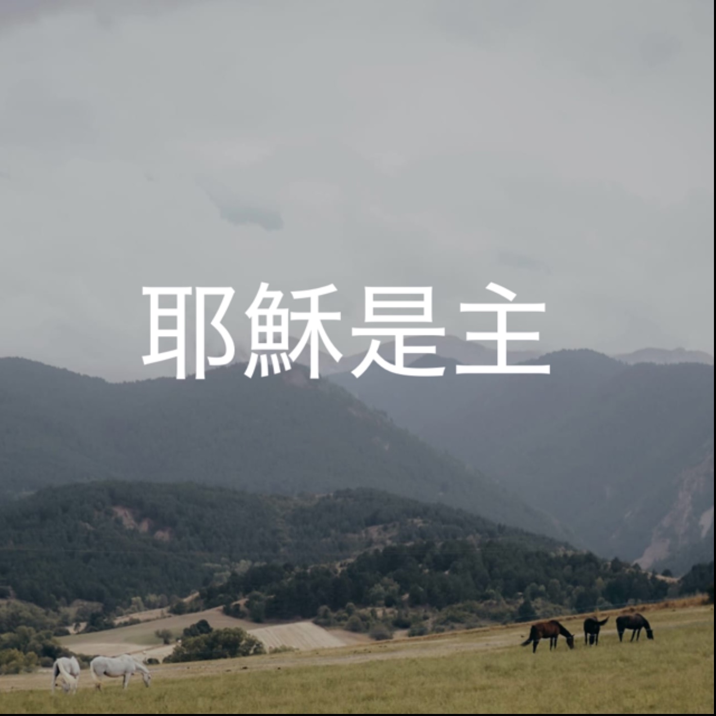 338【耶穌是主】