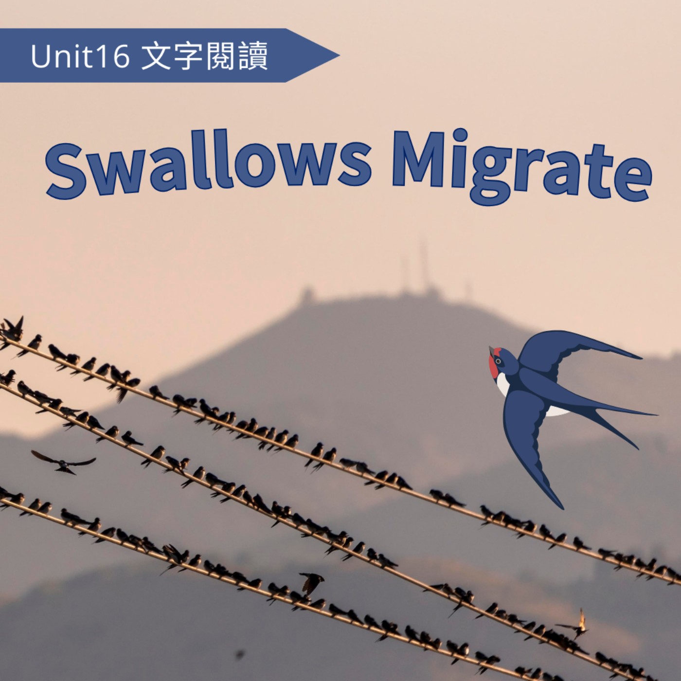 2025-Spring U16 Swallows Migrate 2025-Spring U16 Swallows Migrate