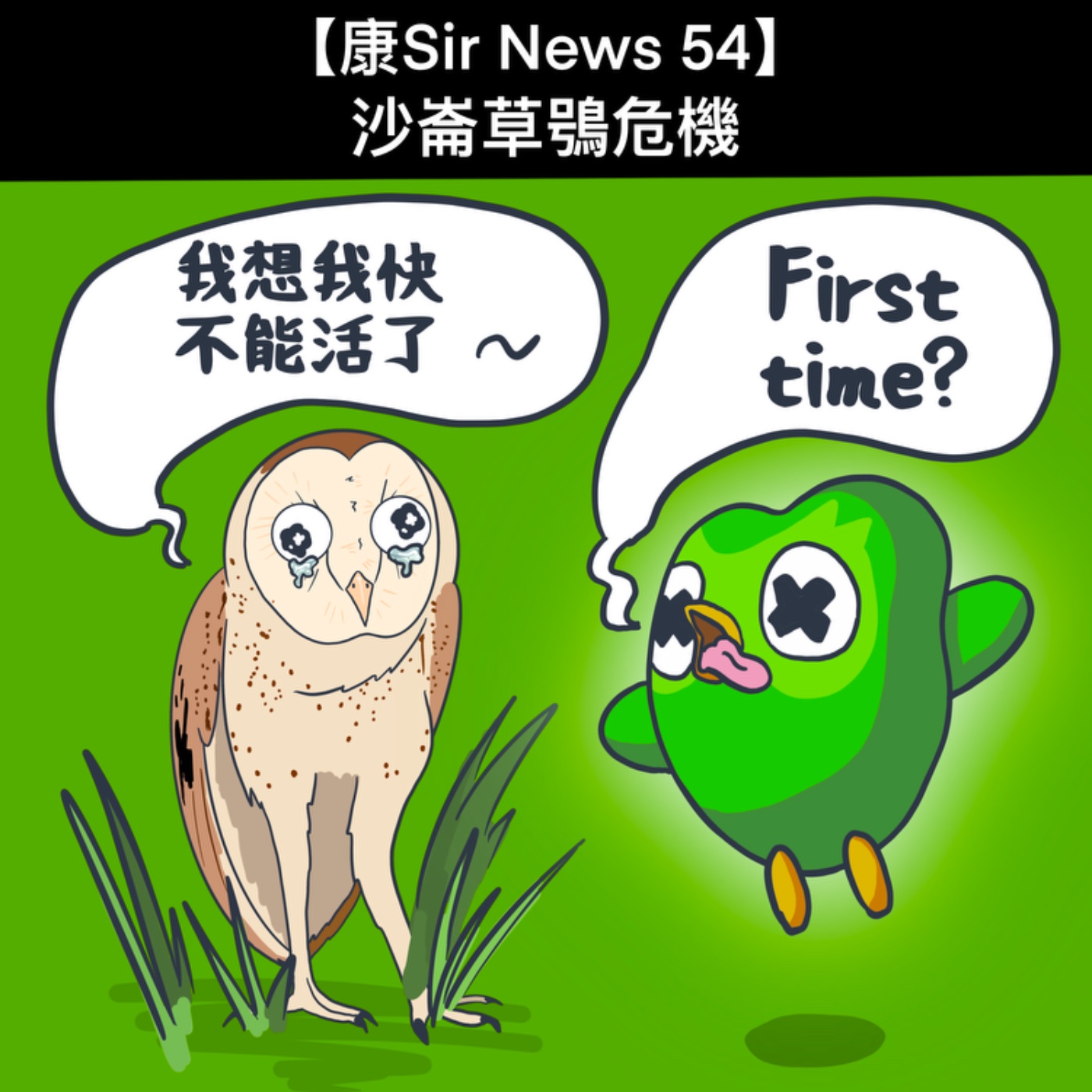 【康Sir News 54】沙崙草鴞危機 episode artwork