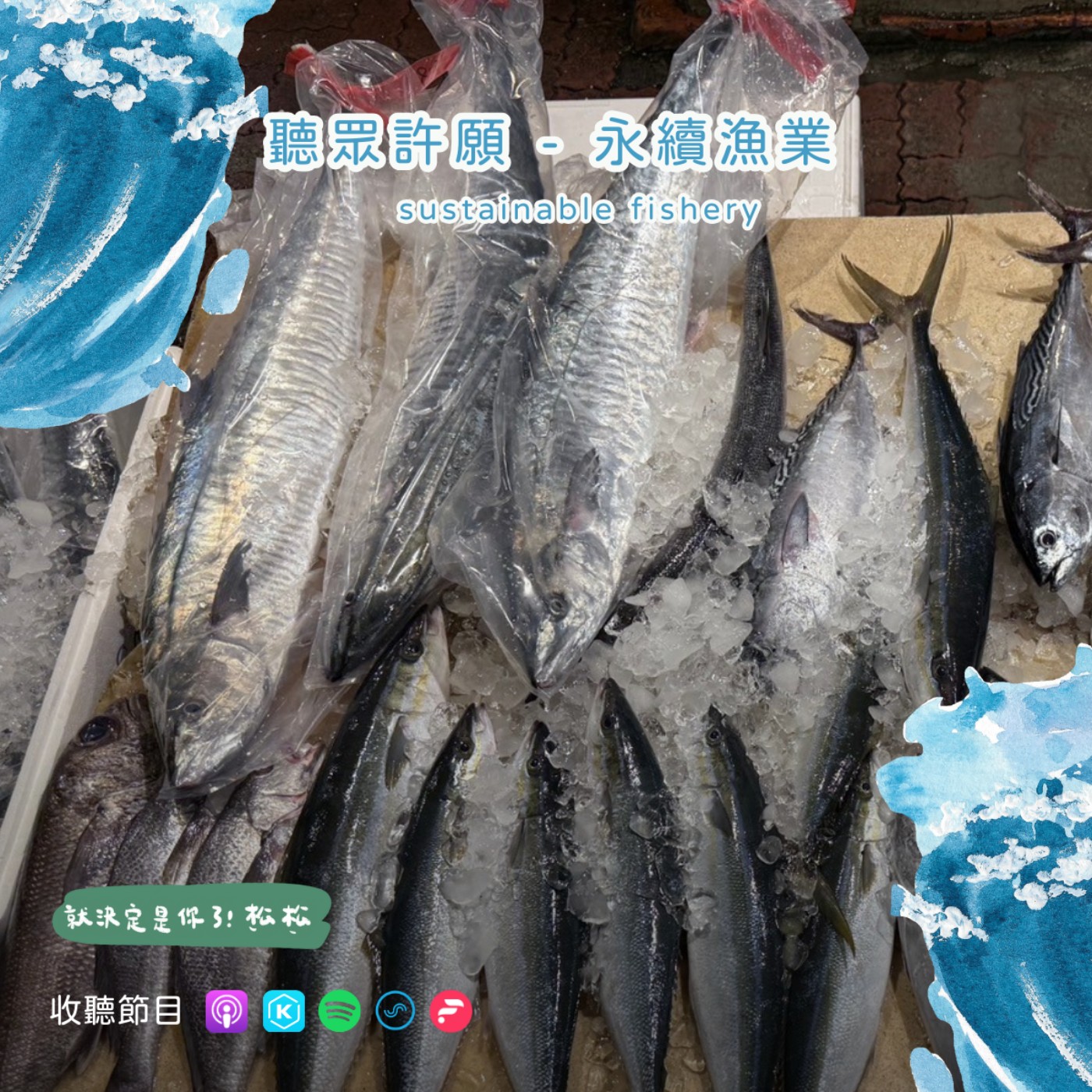 EP90《聽眾許願》什麼是永續漁業 🌊 3 大心法讓你選對好魚🐟 台灣海鮮文化的前世今生