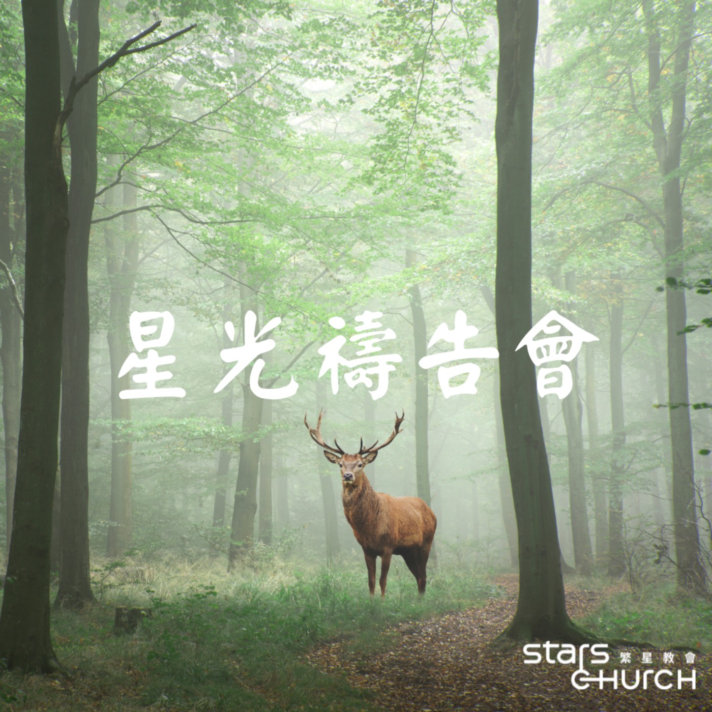 每月意識省察 episode artwork