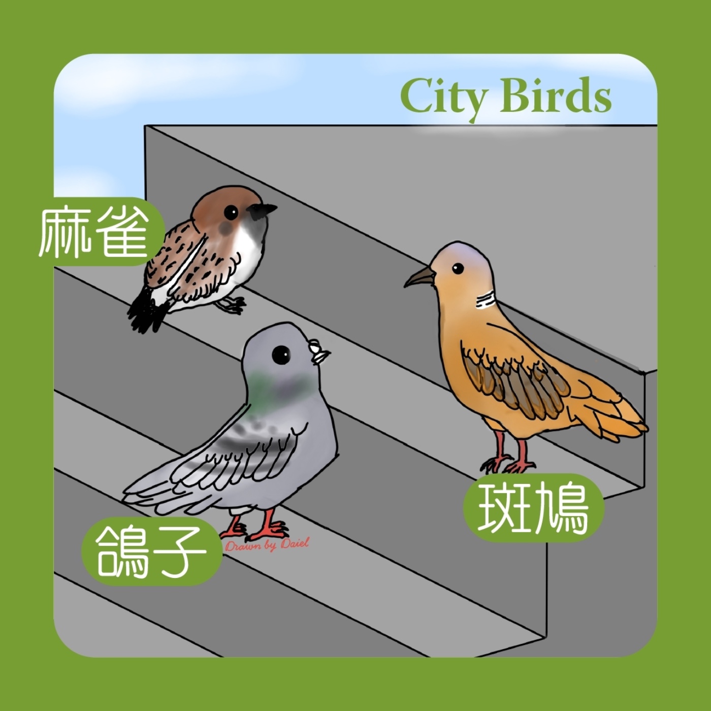 EP57 都市裡常見的鳥類