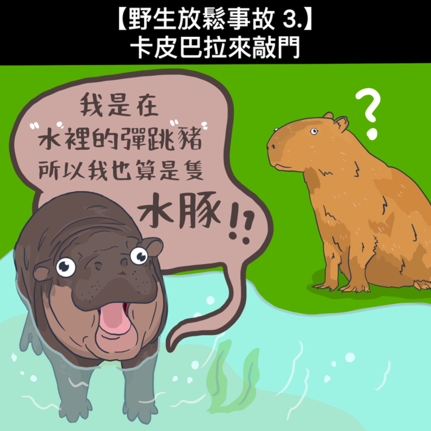 野生放鬆事故3. 卡皮巴拉來敲門 episode artwork