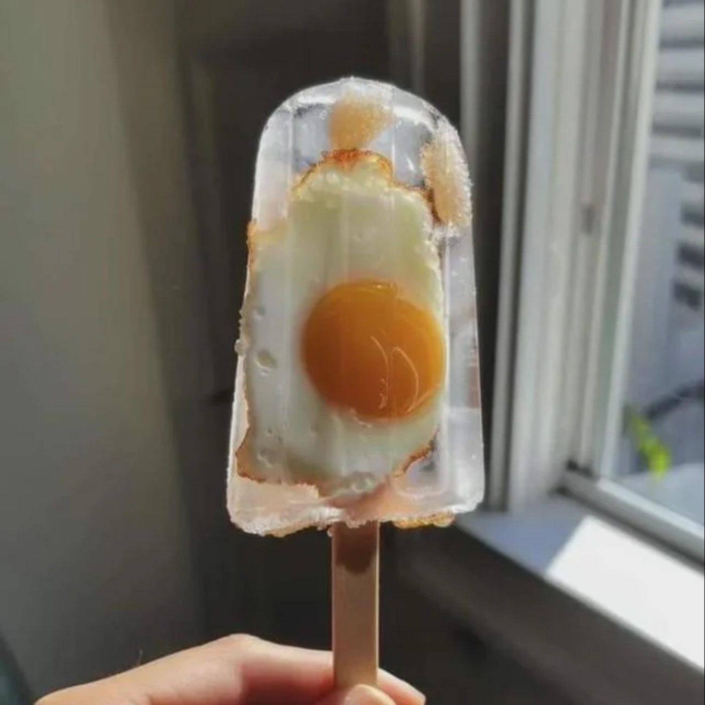 勵志鷹