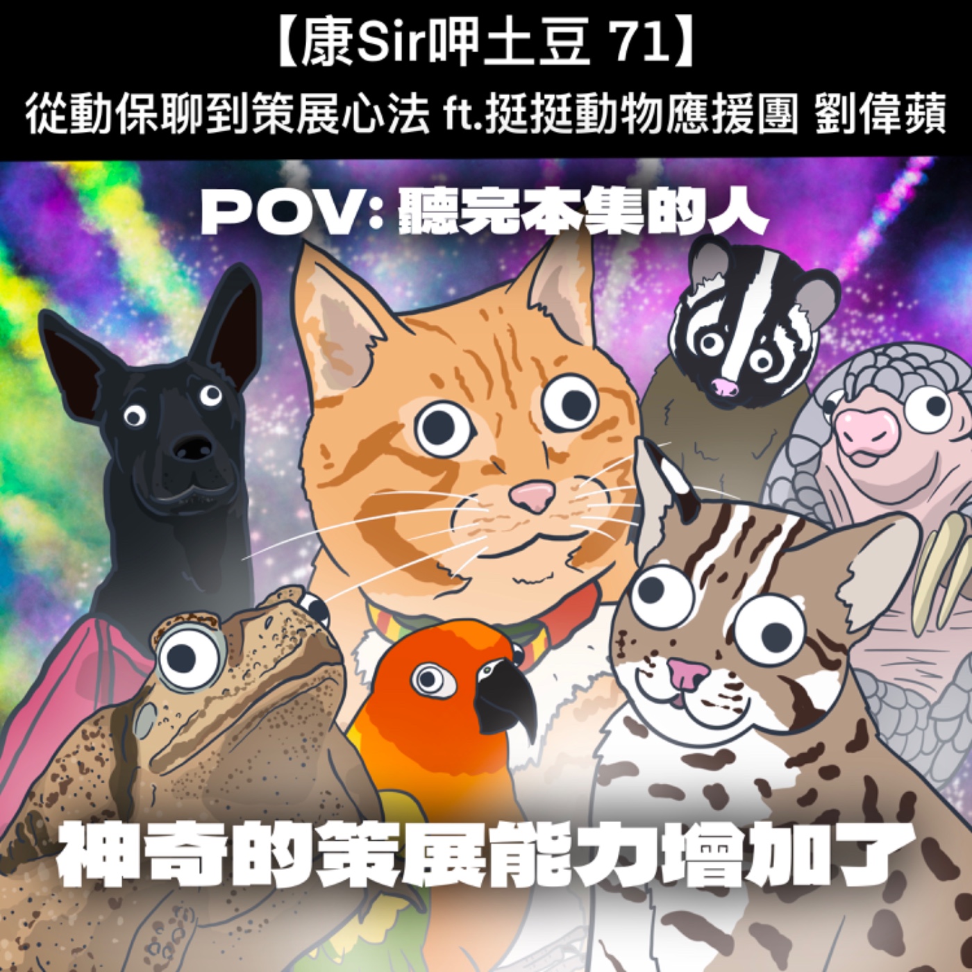 【康Sir呷土豆 71】從動保聊到策展心法 ft.挺挺動物應援團 劉偉蘋 episode artwork