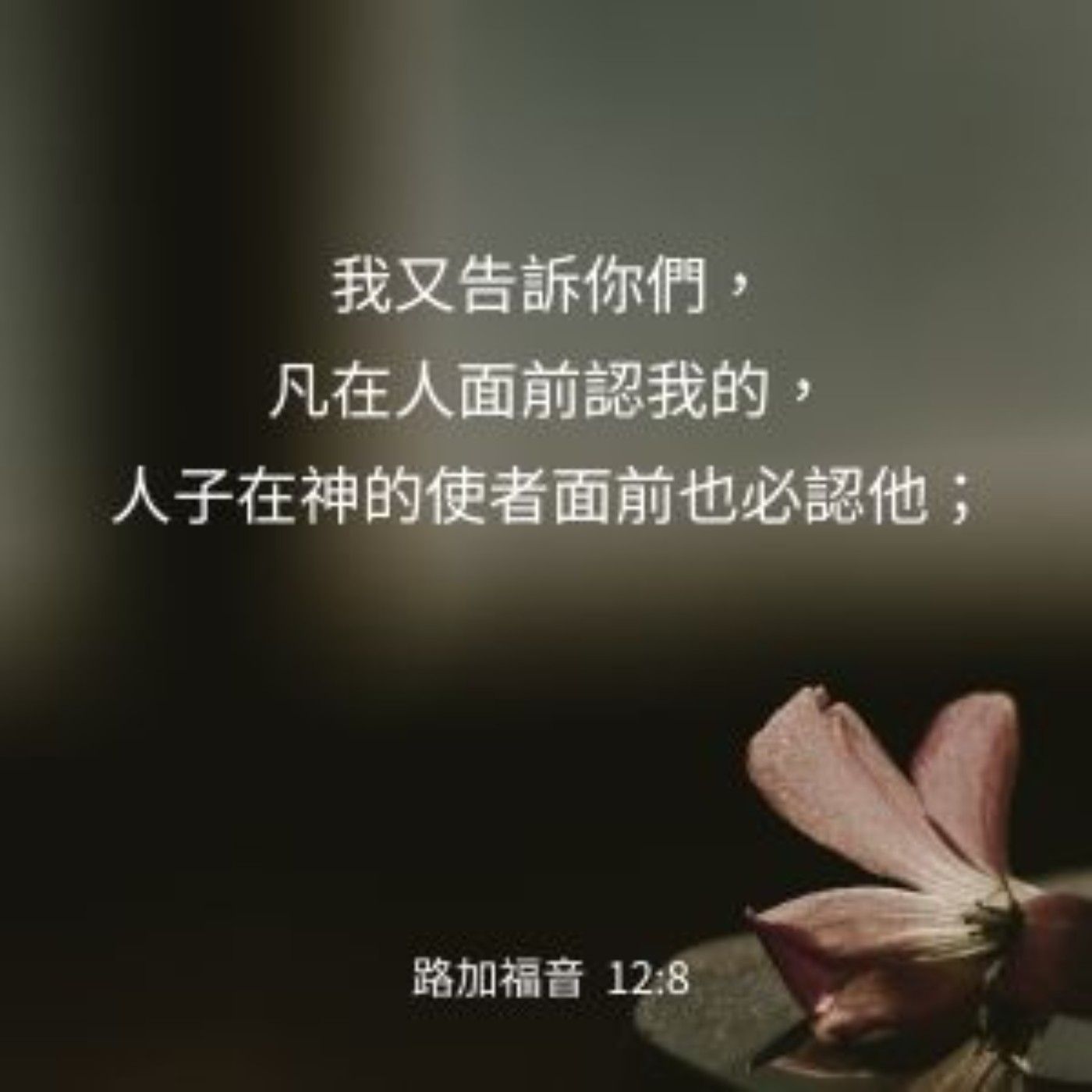 路加福音 12:8-12 episode artwork