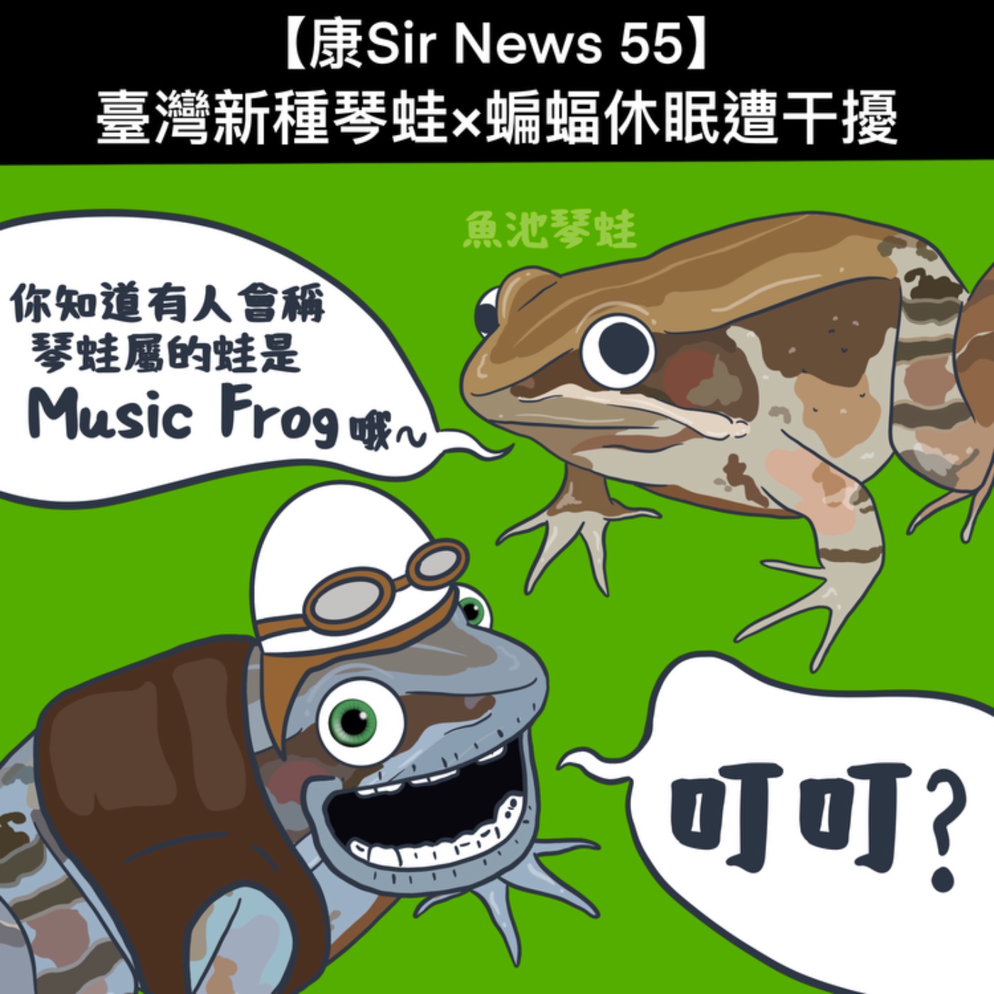 【康Sir News 55】臺灣新種琴蛙×蝙蝠休眠遭干擾 episode artwork