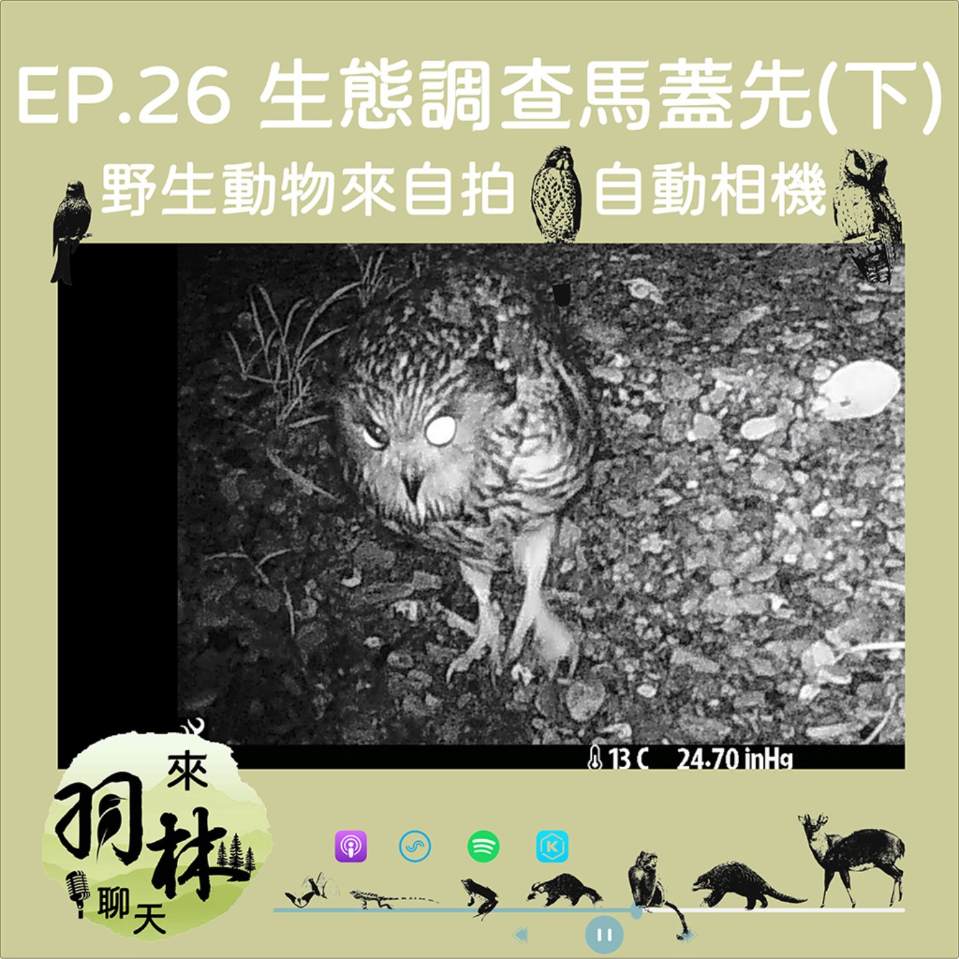 來羽林聊天 EP.26 生態調查馬蓋先(下)/野生動物來自拍—自動相機/坐在辦公室收資料的浪漫 ft. 公館馬蓋先—曾威 episode artwork