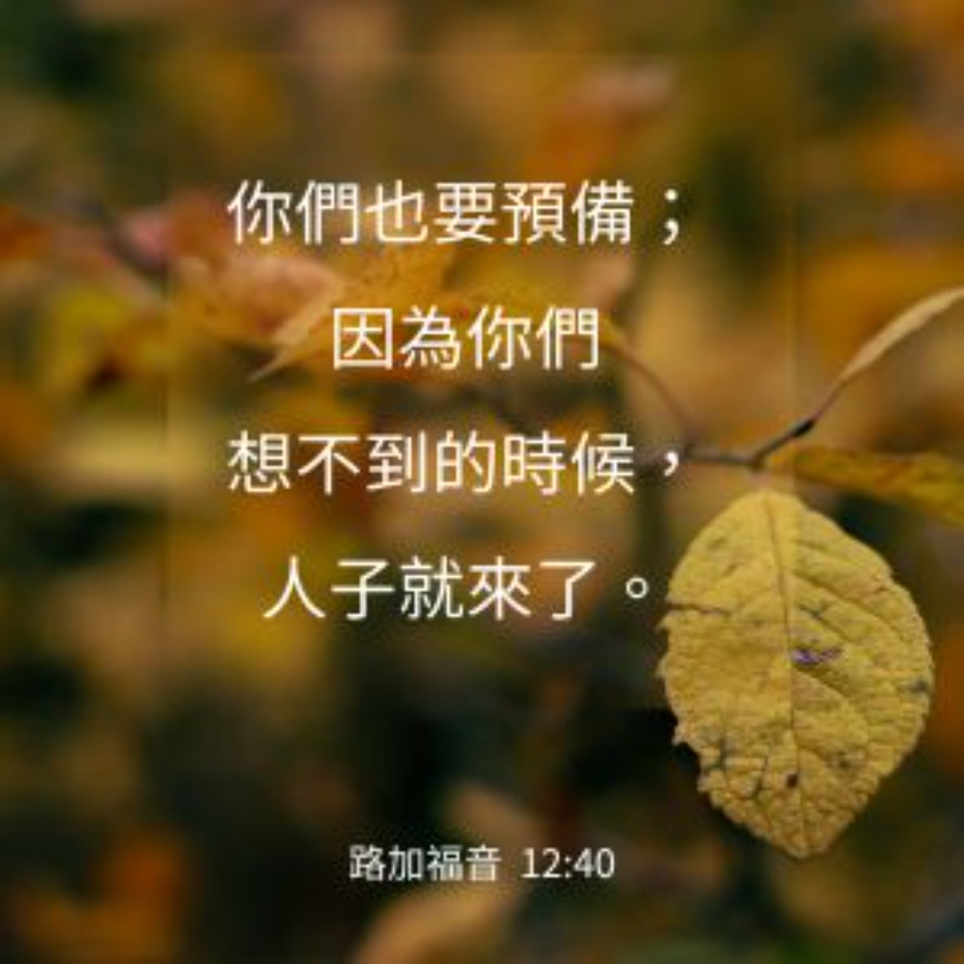 路加福音 12:35-40 episode artwork
