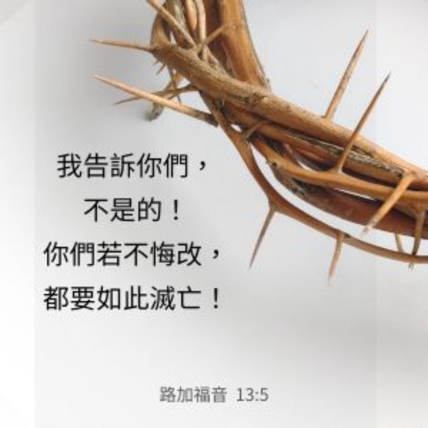 路加福音 13:1-9 episode artwork