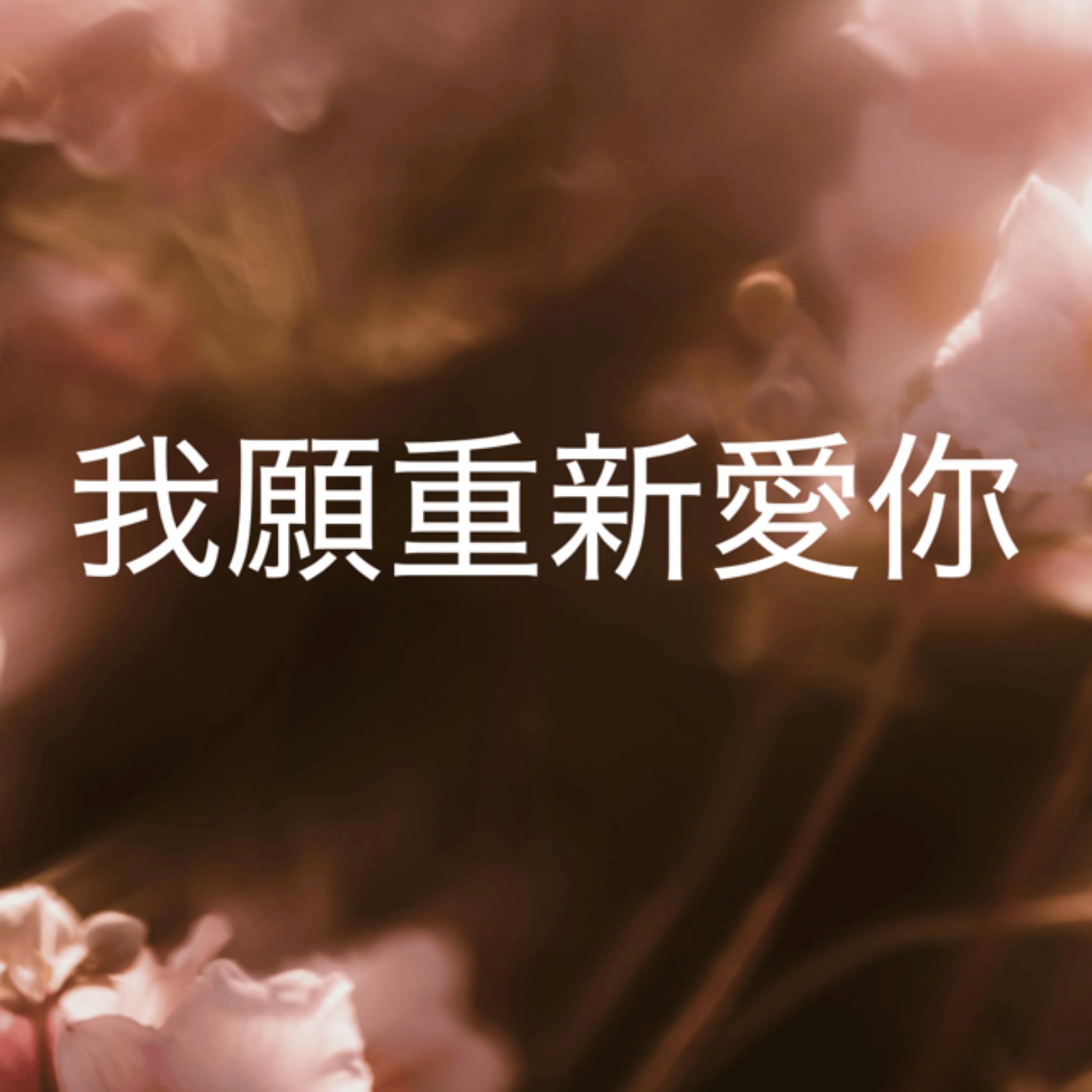 712【我願重新愛你】