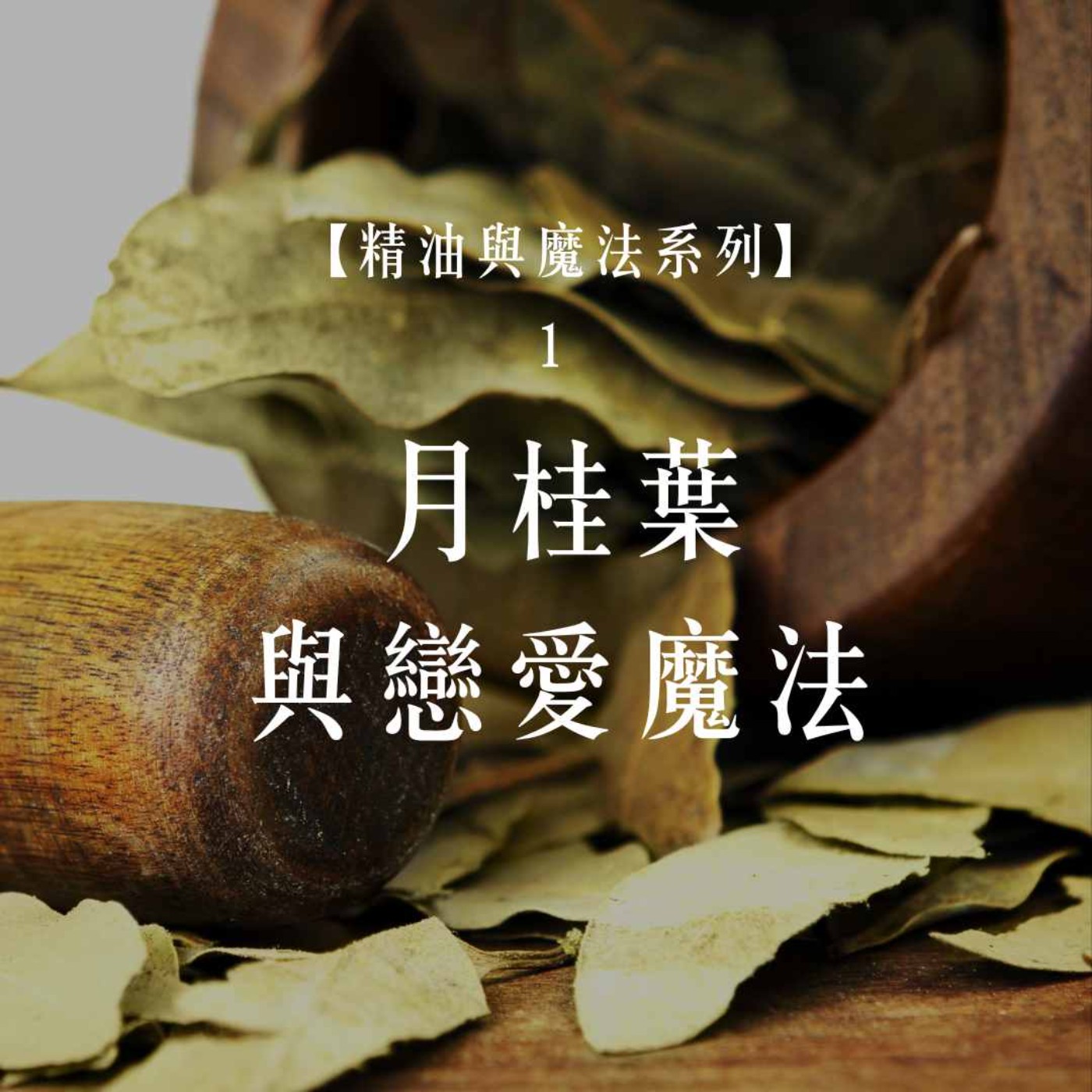 Ep.81【精油與魔法 2】月桂葉與戀愛魔法:從阿波羅的神話說起