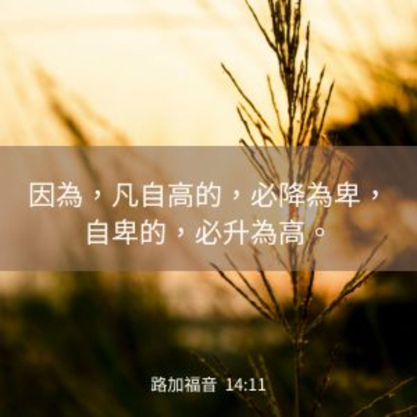 路加福音 14:7-14 episode artwork
