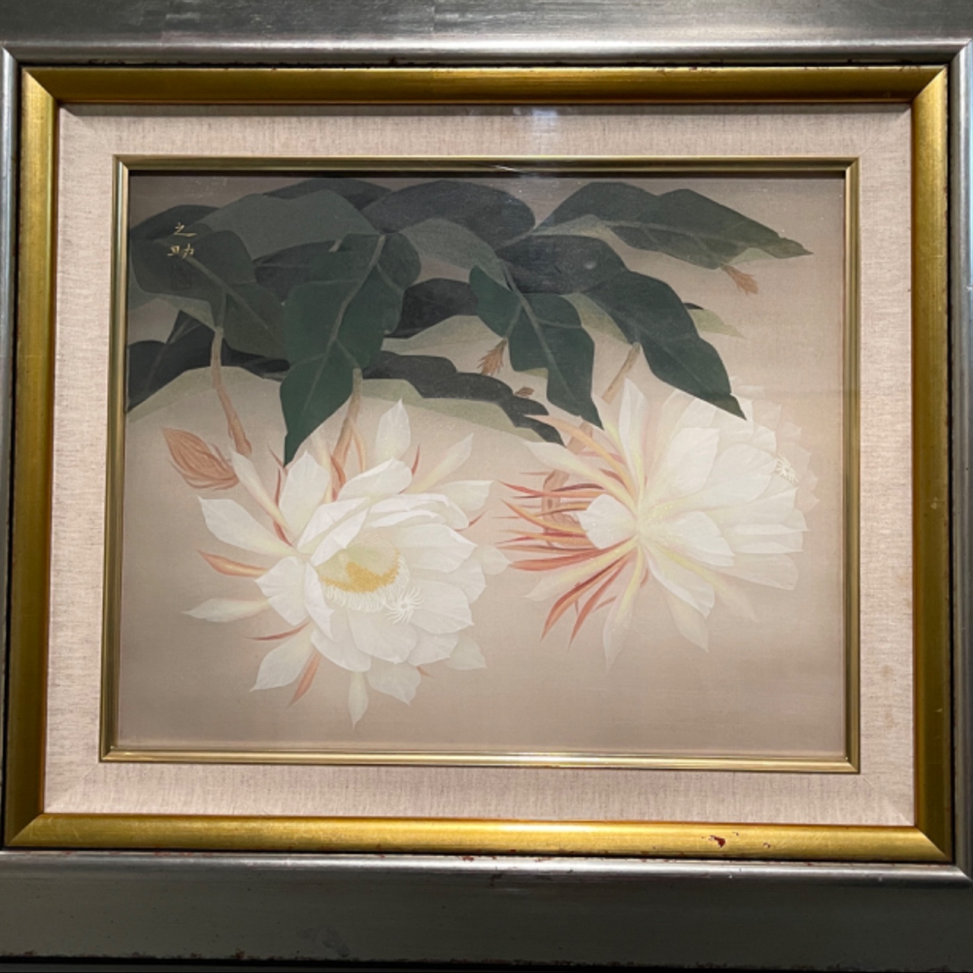 EP193 畫家筆下的花草木 / 醫治靈長類野生動物  episode artwork