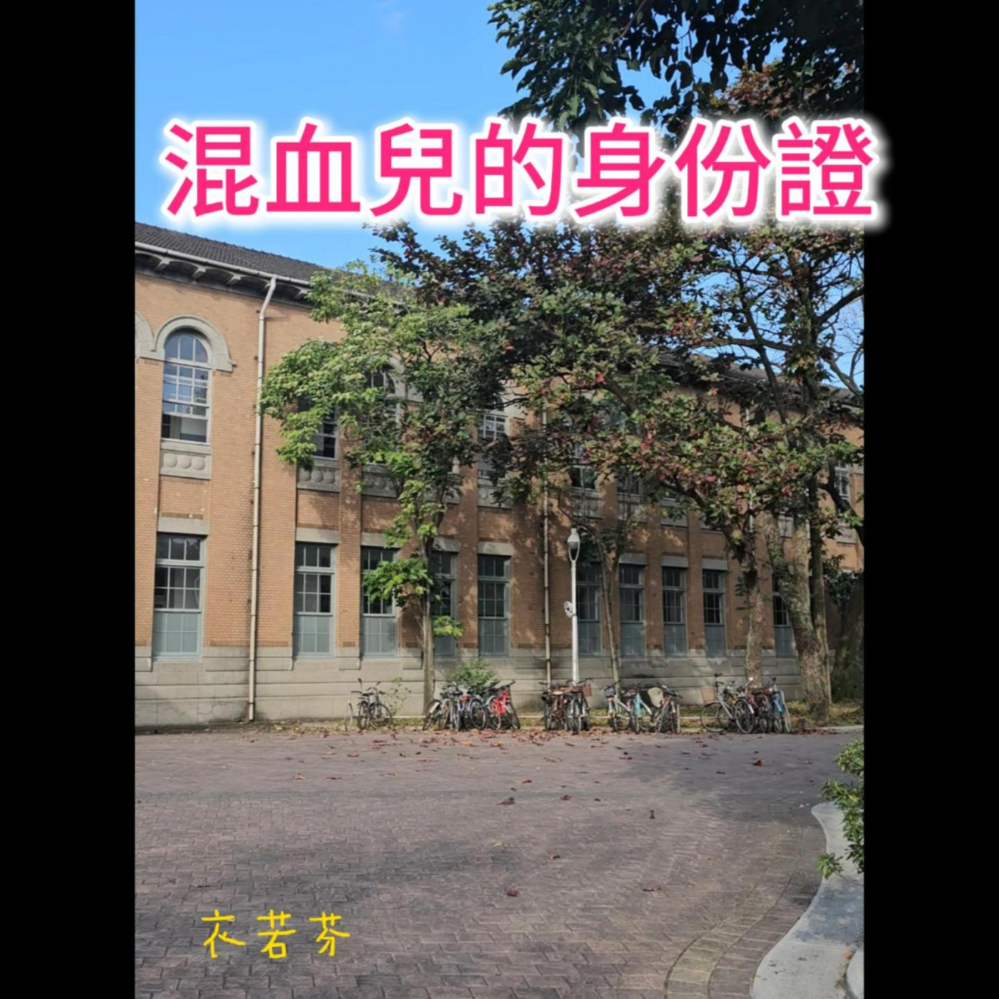 混血兒的身份證 multiracial people’s Identity Card episode artwork
