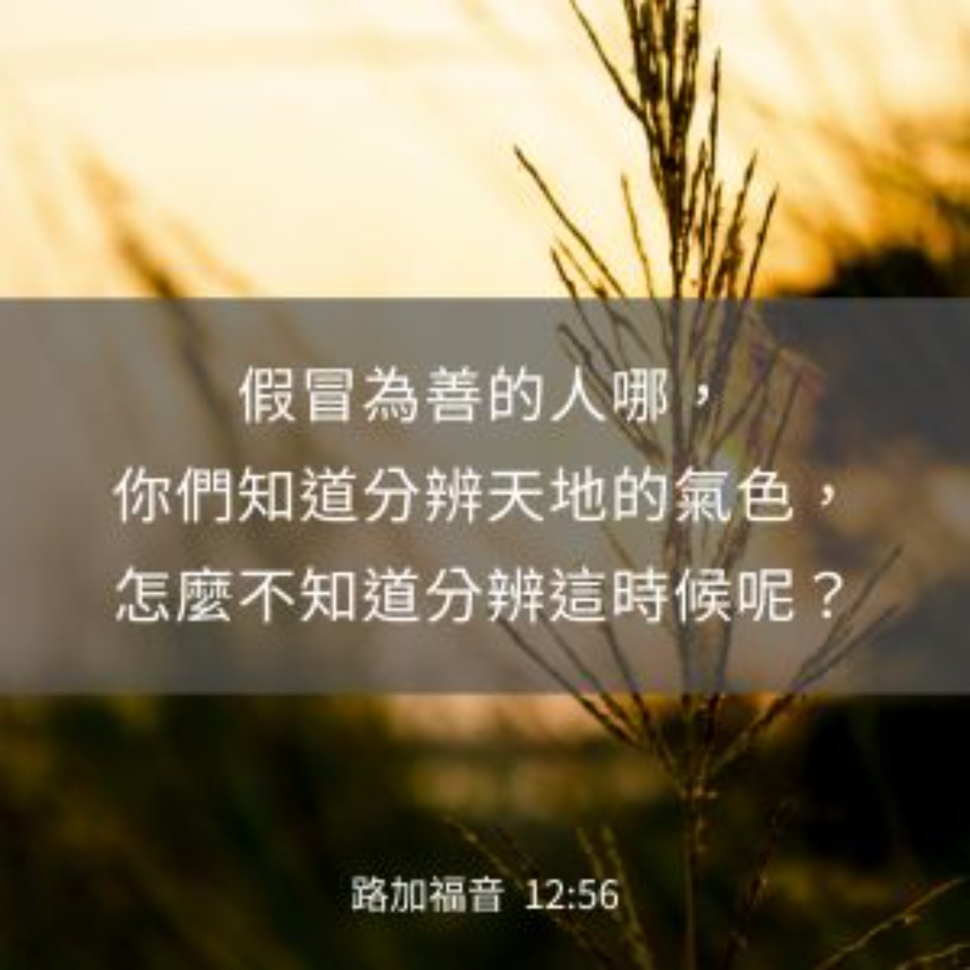 路加福音 14:15-24 episode artwork