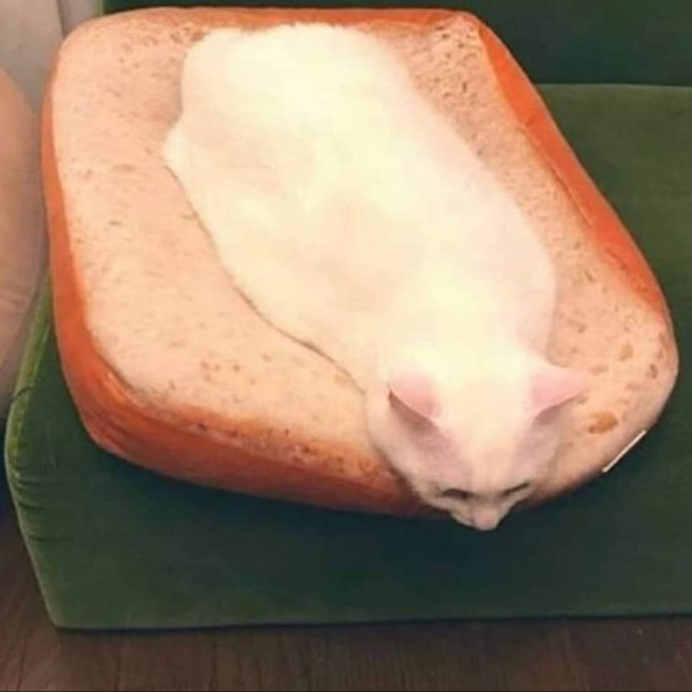 勵志鷹