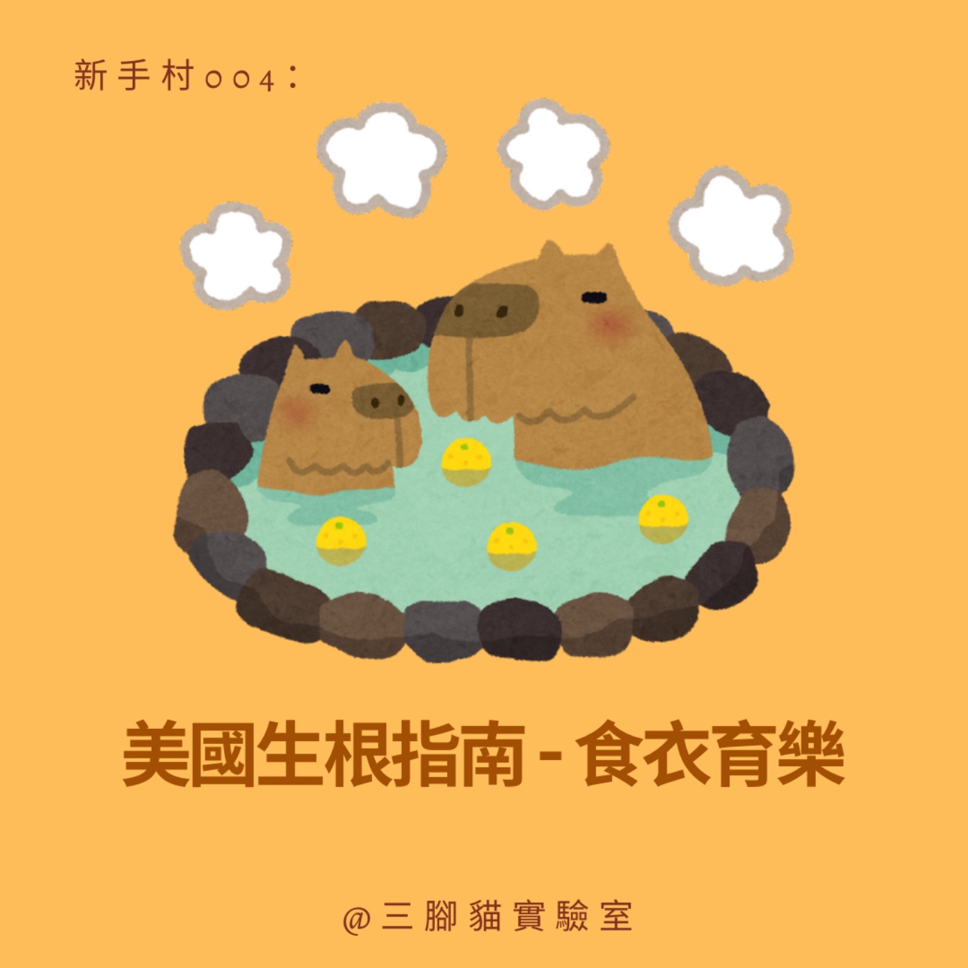新手村 004： 美國生根指南-食衣育樂