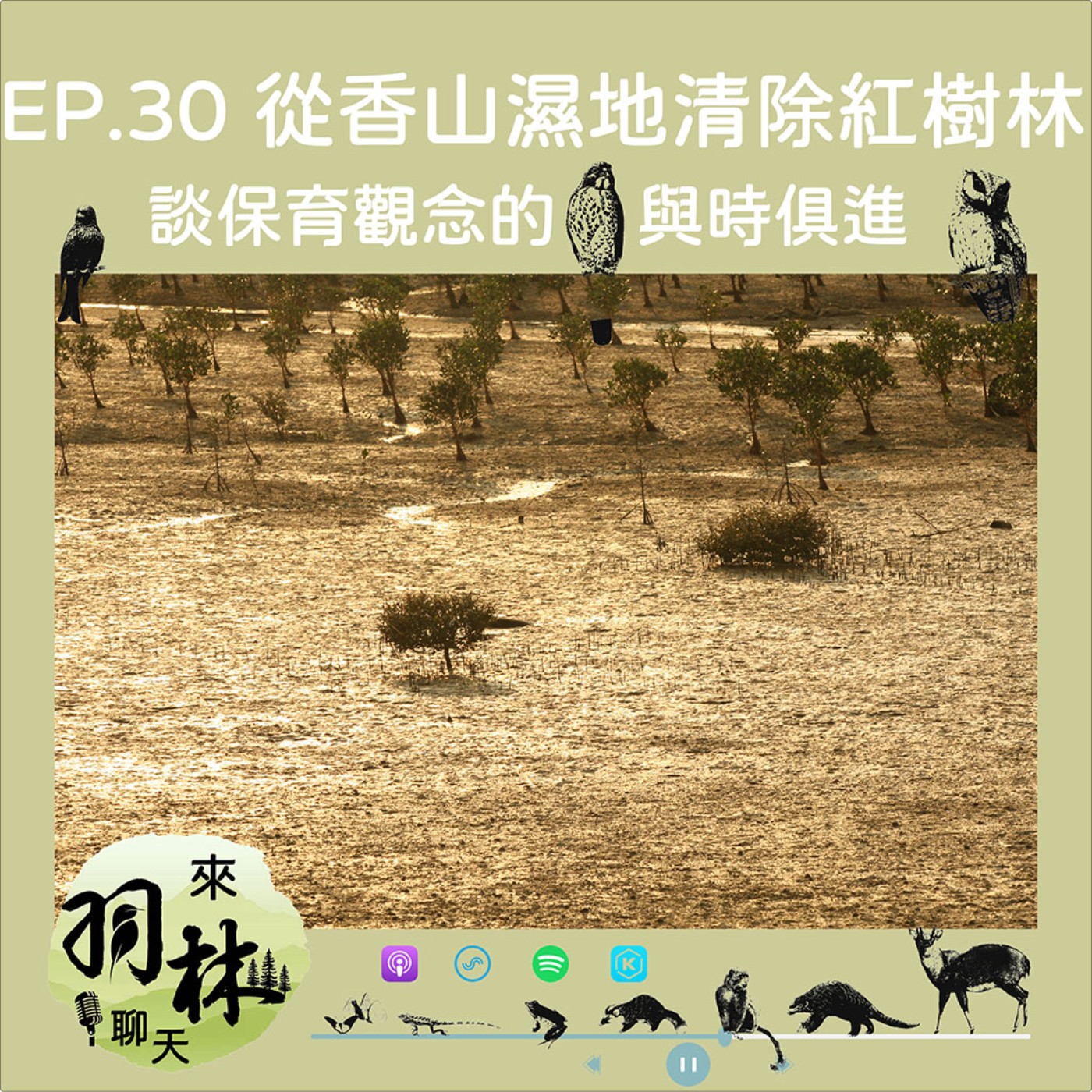 來羽林聊天 EP.30 香山濕地臺灣旱招潮蟹的艱辛回家路/保護區好多種，規定各不相同，但應該都不能在裡頭燒鋼琴 episode artwork