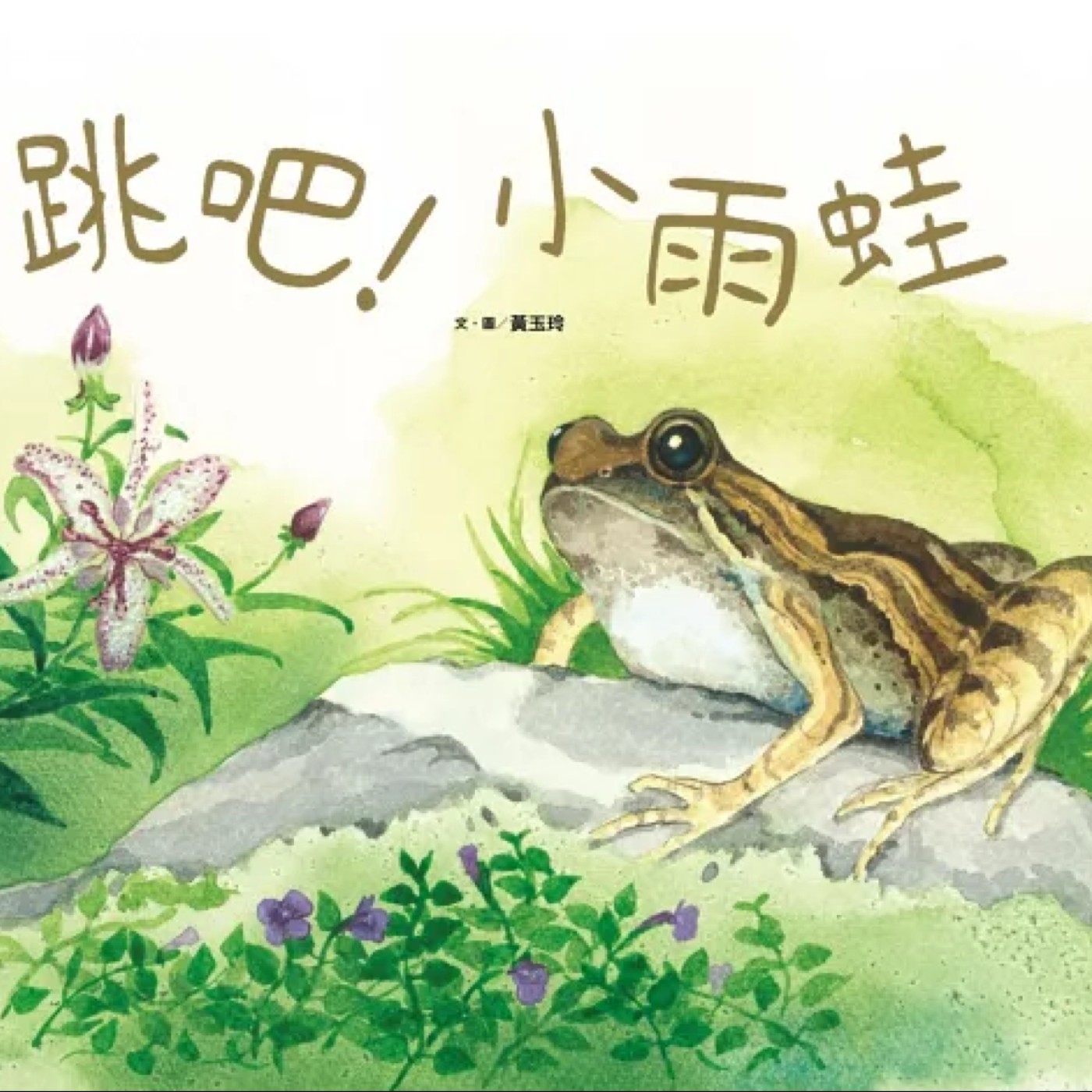 跳吧!小雨蛙