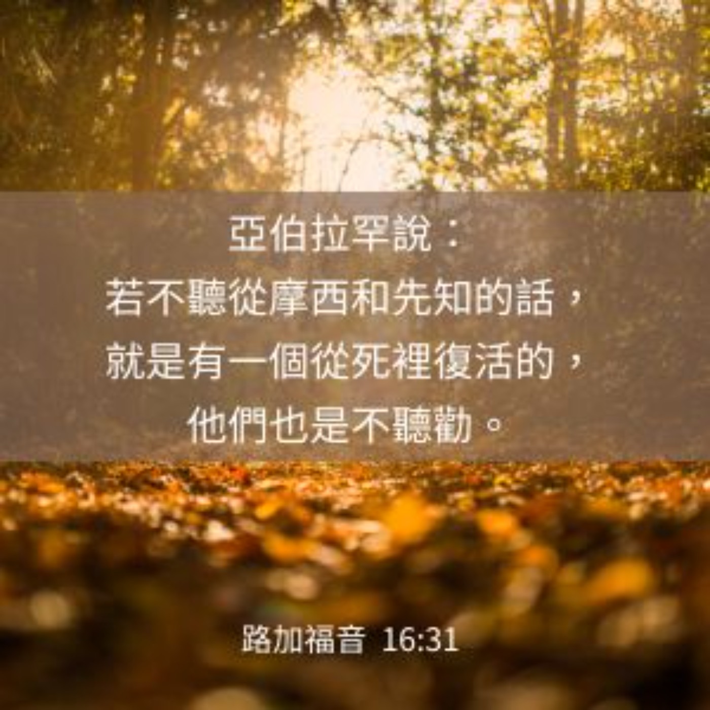 路加福音 16:19-31 episode artwork
