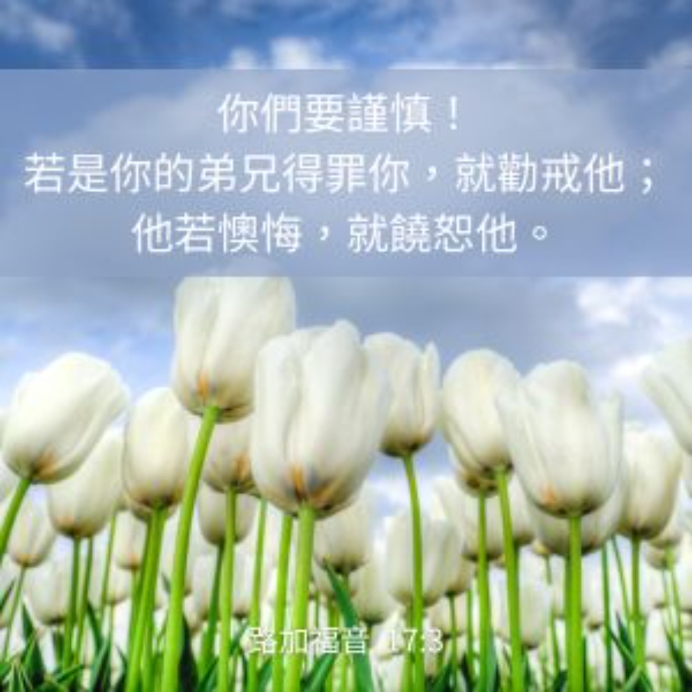 路加福音 17:1-4 episode artwork