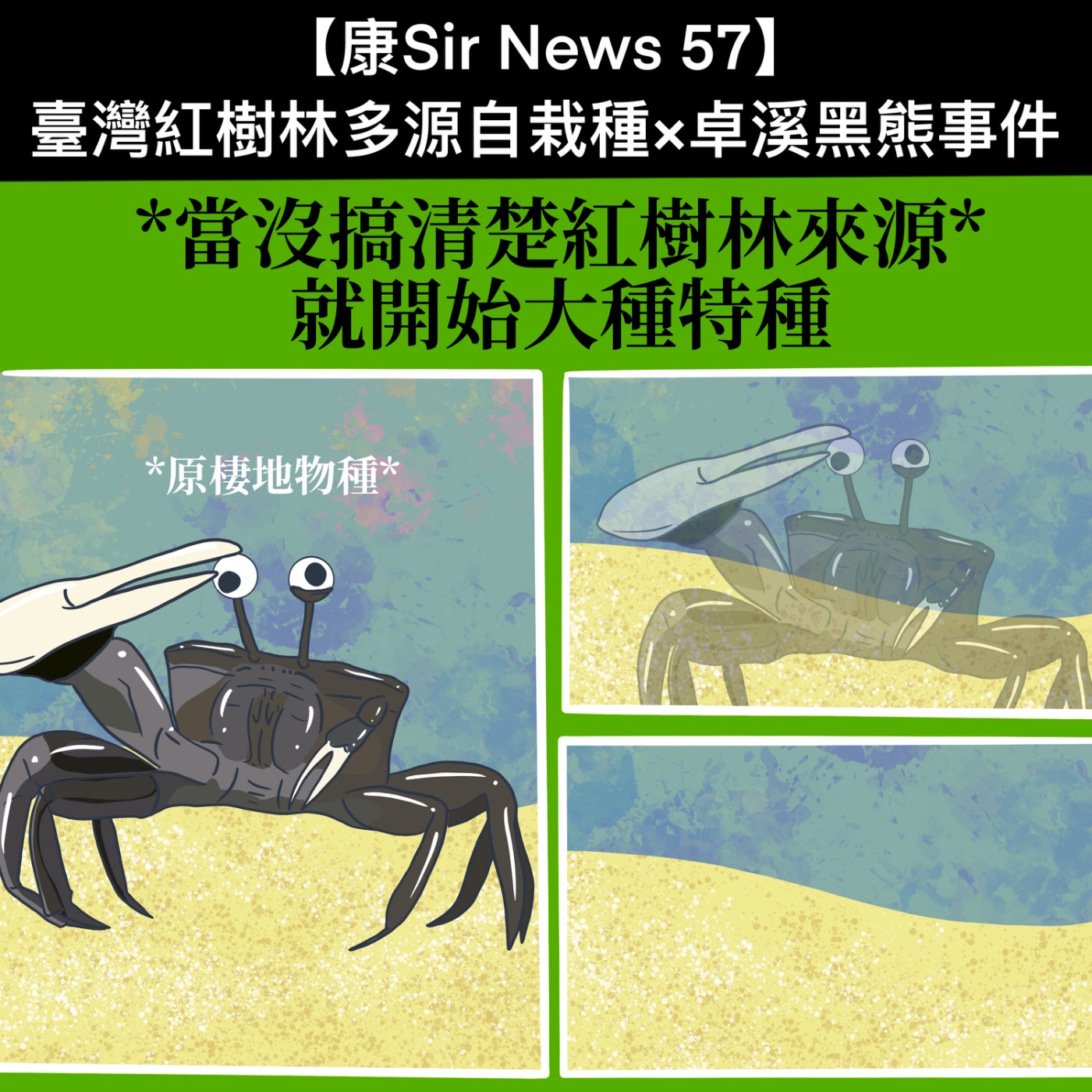 【康Sir News 57】臺灣紅樹林多源自栽種×卓溪黑熊事件 episode artwork