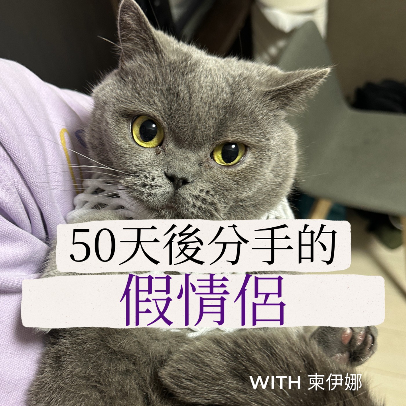 五十天後分手的假情侶 podcast artwork