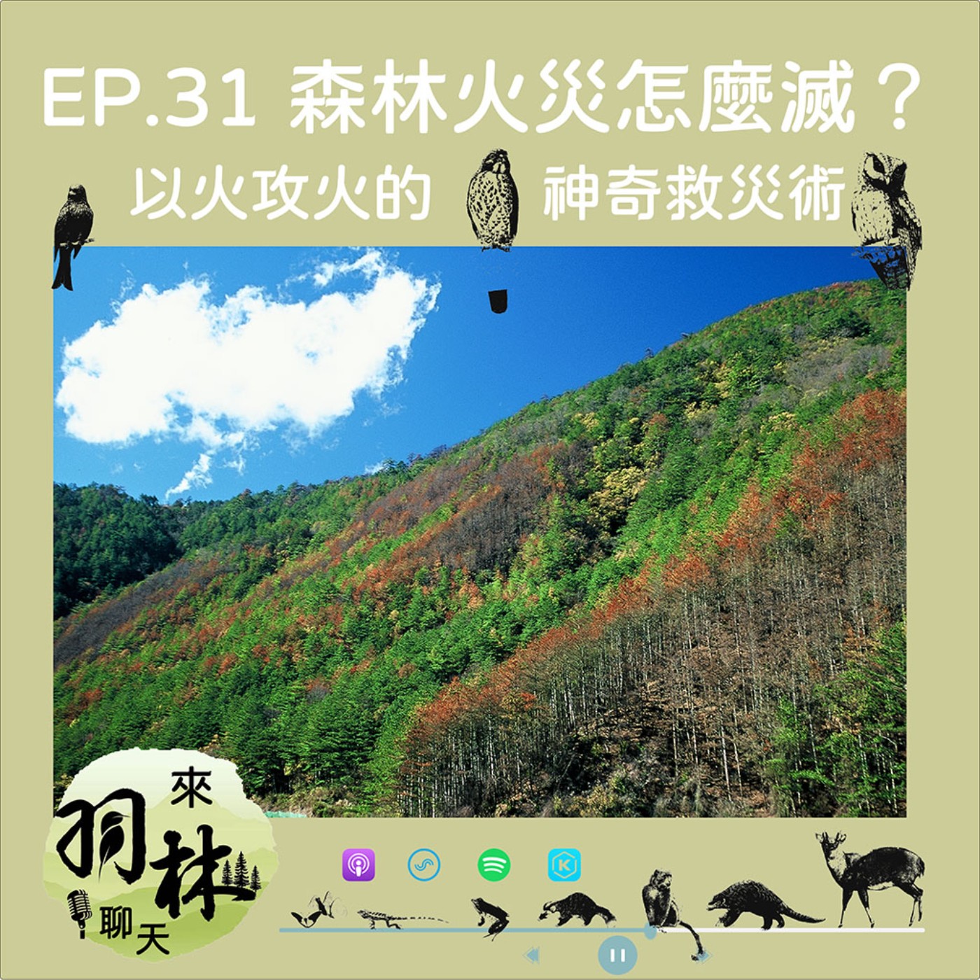 來羽林聊天 EP.31 森林火災怎麼滅？以火攻火的神奇救災術 ft. 潘孝隆 臺大地理所博士 episode artwork
