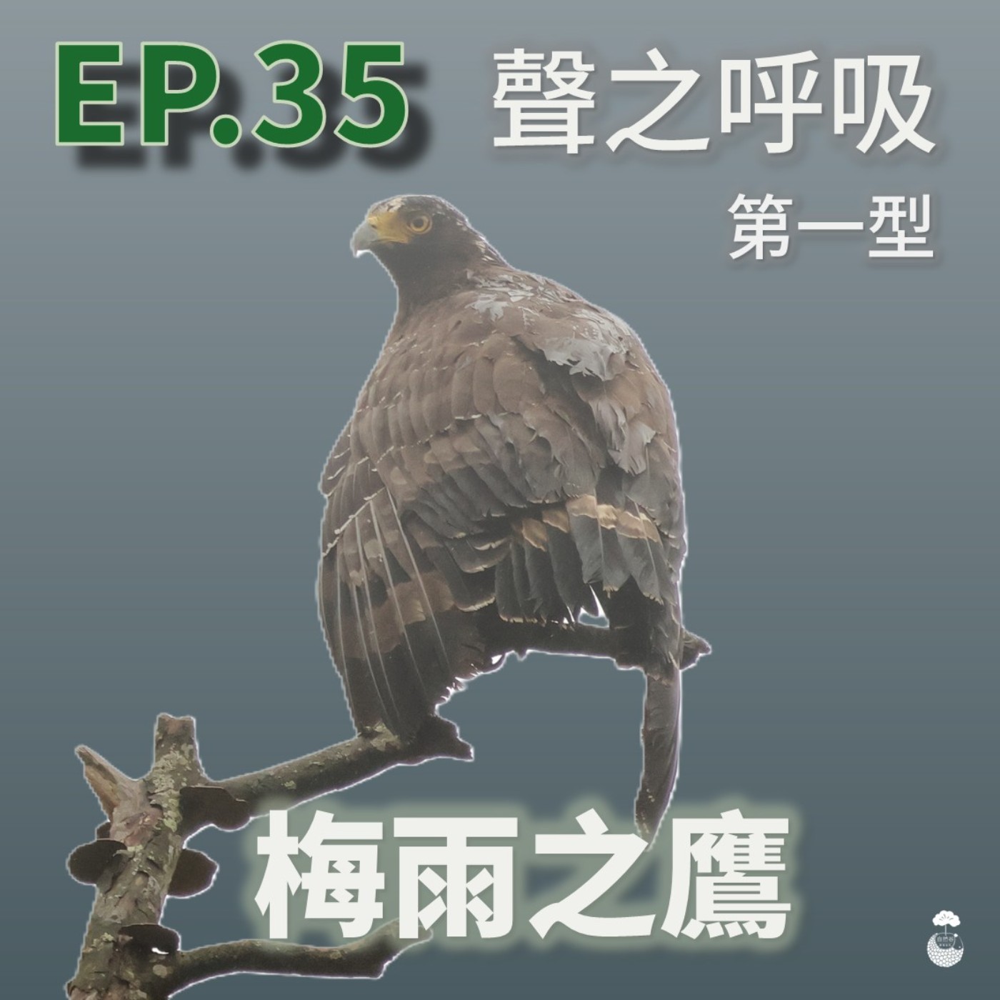 EP35_聲之呼吸_第一型_梅雨の鷹 EP35_聲之呼吸_第一型_梅雨の鷹