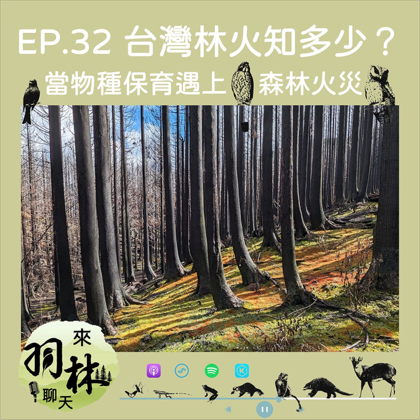 來羽林聊天 EP.32 台灣林火知多少?/當物種保育遇上森林火災/美國奧勒岡州斑點鴞的故事 ft.潘孝隆 臺大地理所博士 episode artwork