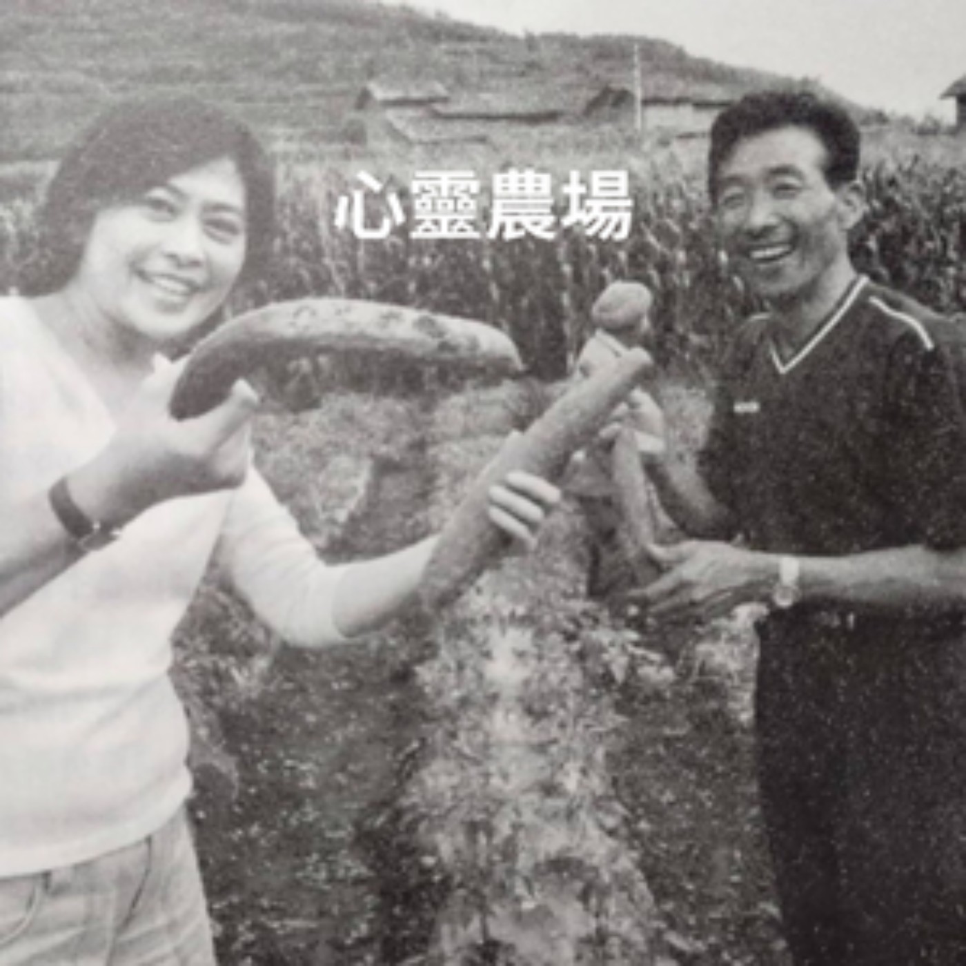 EP39【觸】2005年｜ 心靈農場(Dream Farm)｜作者｜張平宜 episode artwork