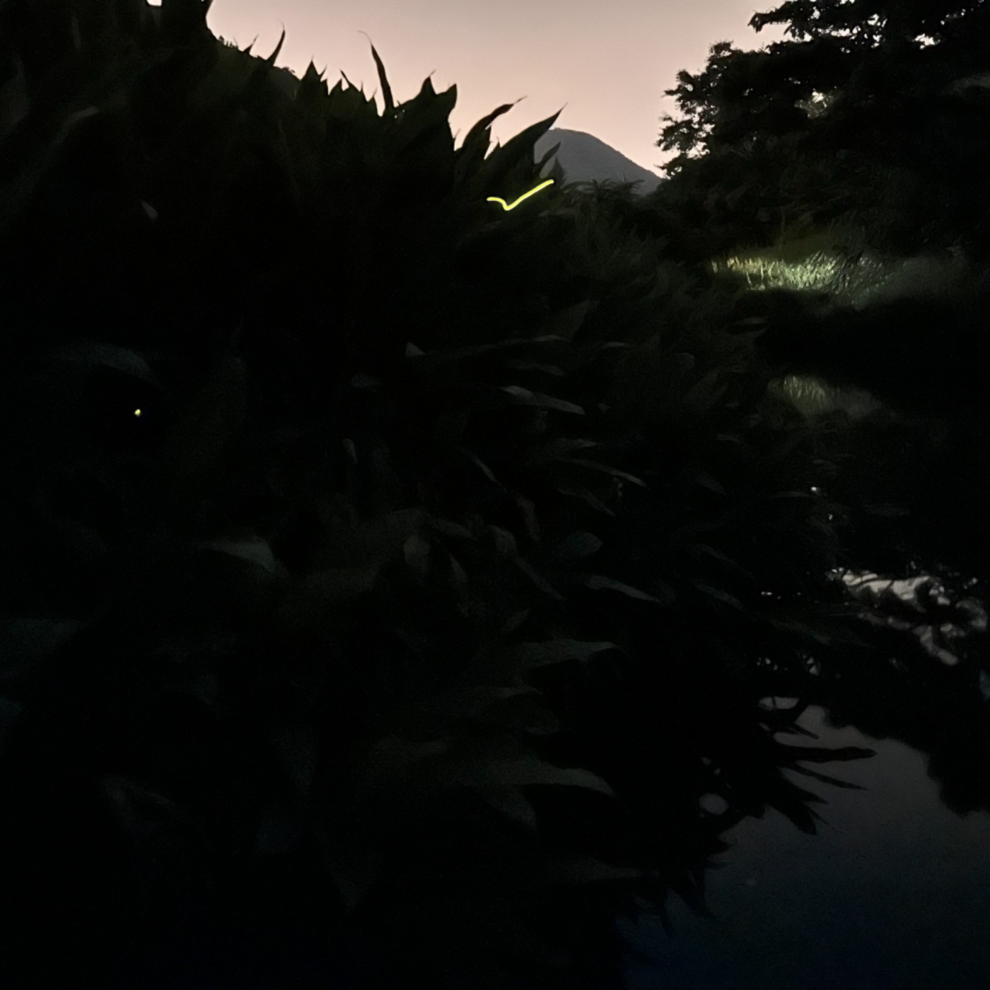 夜泊二子坪：10PM・蛙鳴探戈