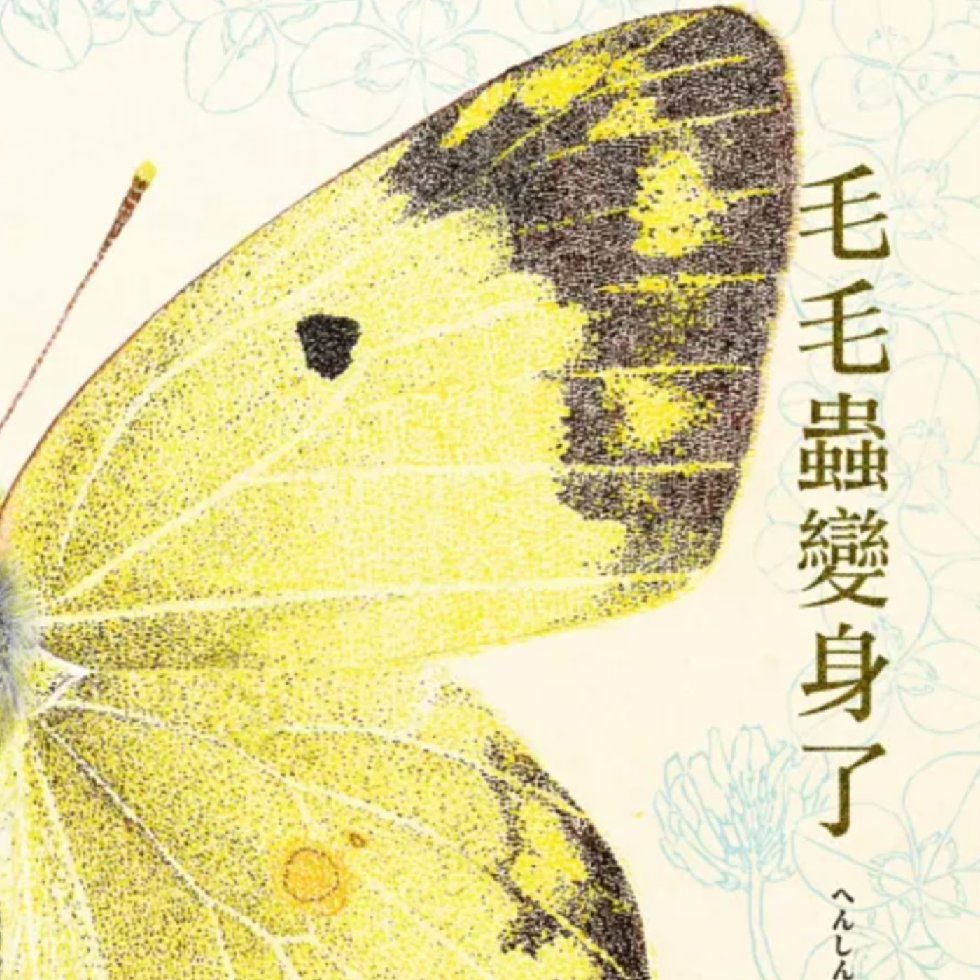 毛毛蟲變身了