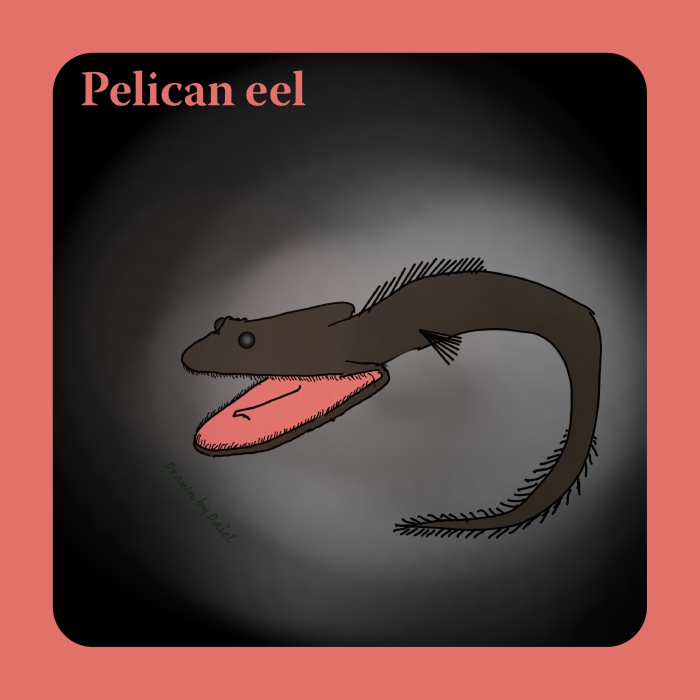 EP60 與小聽友的空中對話