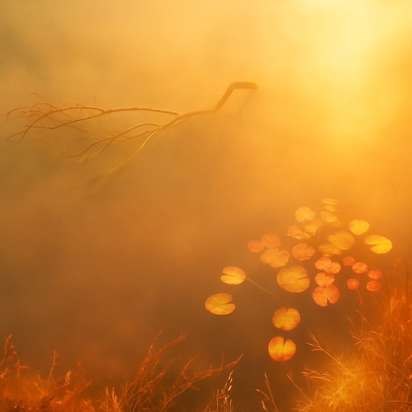 夜泊二子坪：4AM・山裡的獸・旋轉舞