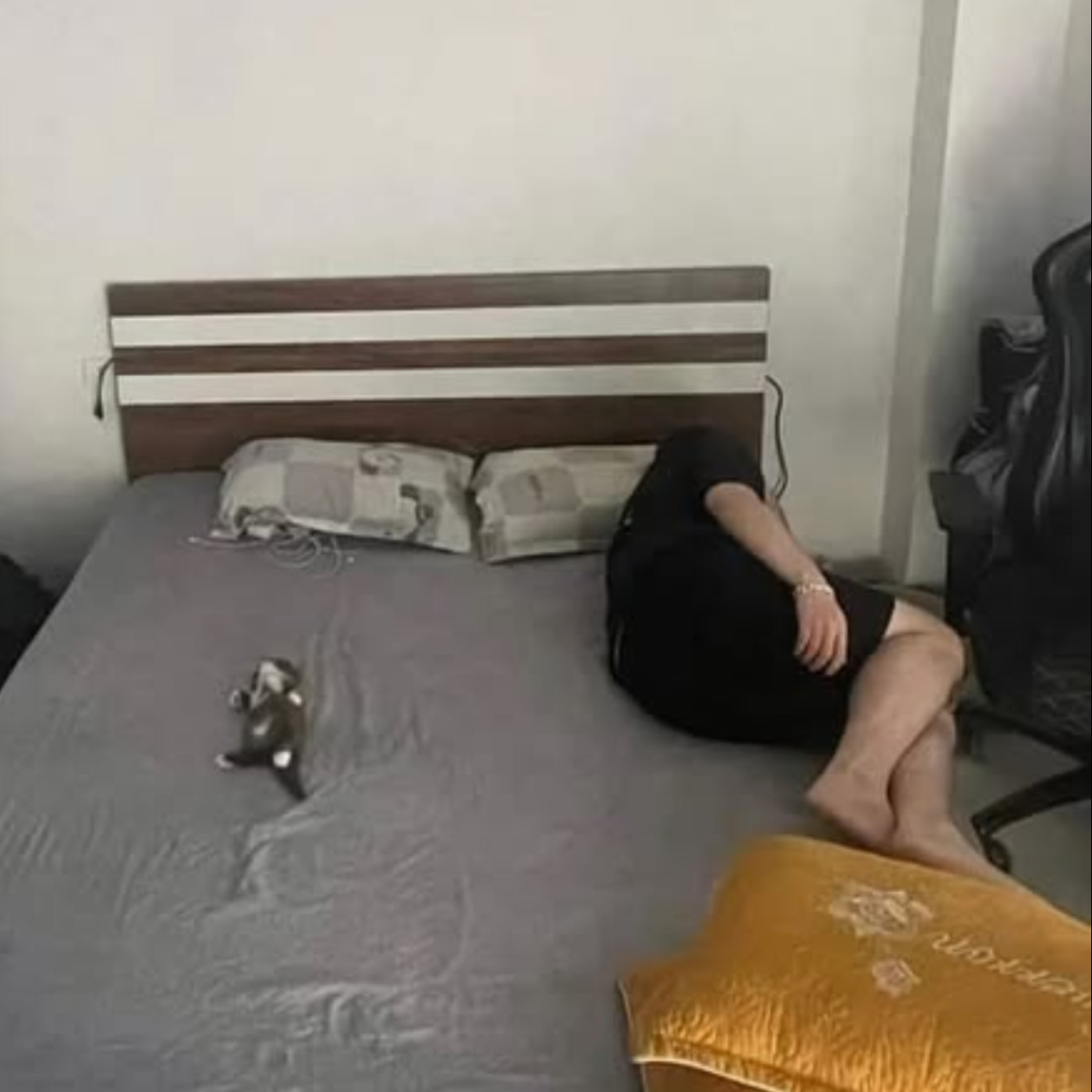 勵志鷹