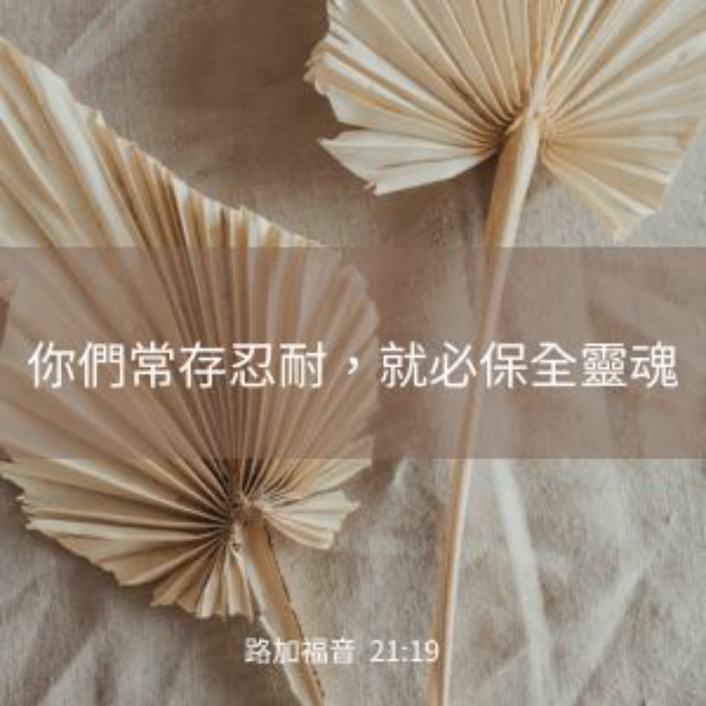 路加福音 21:5-19 episode artwork