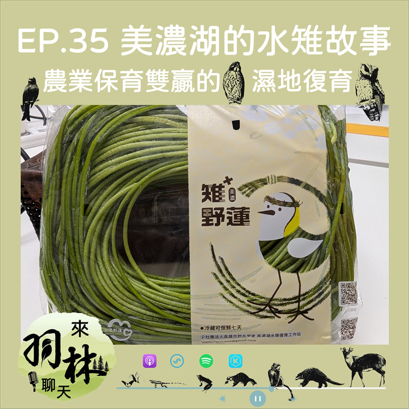 來羽林聊天 EP.35 美濃湖水雉與野蓮的故事/農友與生態保育人員的努力讓水雉成功「留美繁殖」ft. 陳柏豪 高雄市野鳥學會棲地部主任 episode artwork