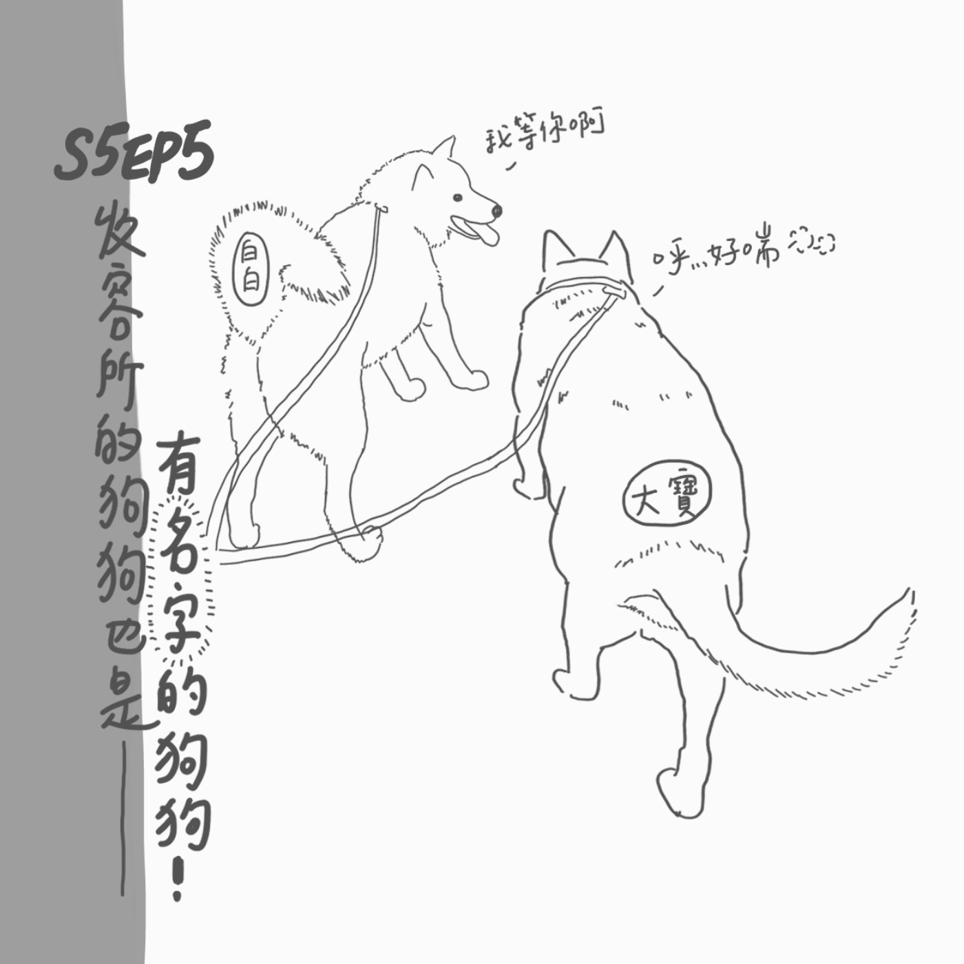 S5 EP5：收容所的狗狗，也是有名字的狗狗 episode artwork