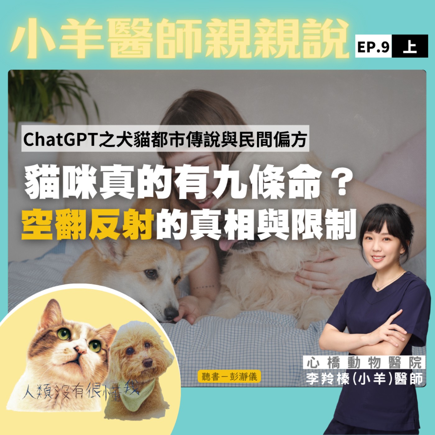 貓咪真的有九條命？空翻反射的真相與限制_小羊醫師X主持人彭瀞儀｜小羊醫師親親說EP09上