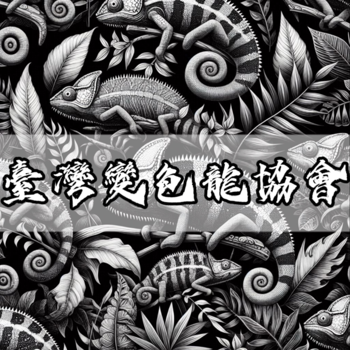  臺灣變色龍協會podcast vol.2 我的變色龍會熱死嗎 episode artwork
