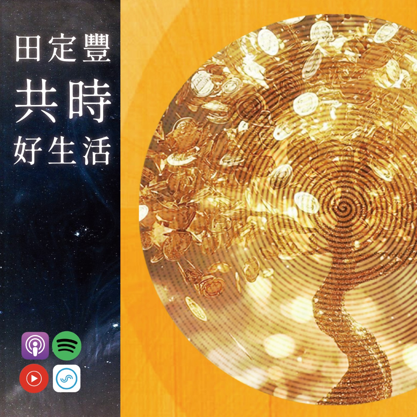 田定豐的共時好生活【共時人物專訪】＿《金錢靈氣》Feat.盧筱涵：啟動內在豐盛的療癒之路 episode artwork