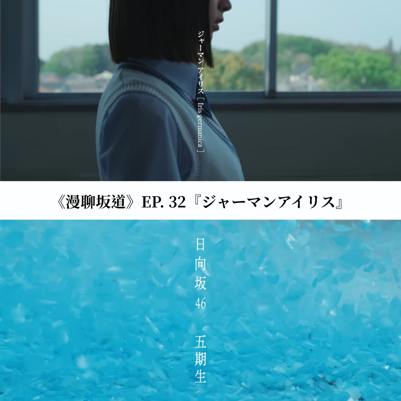 《漫聊坂道》EP.32 『ジャーマンアイリス』｜成為日向坂的道路 episode artwork