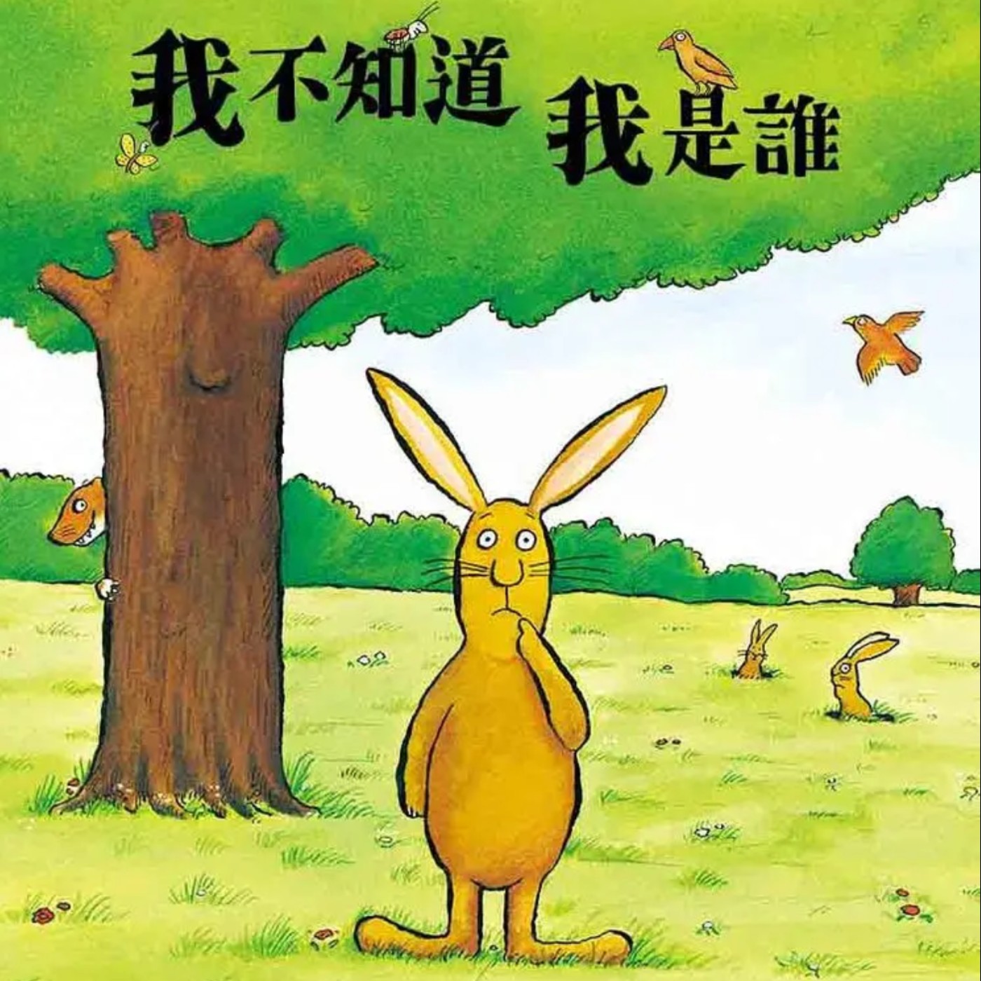 我不知道我是誰