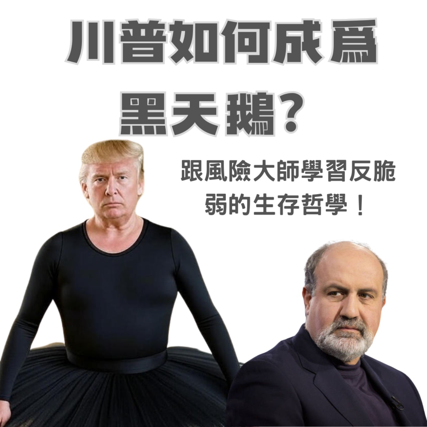 EP38 川普如何成為黑天鵝？跟塔雷伯學會如何從亂局中獲益！ episode artwork