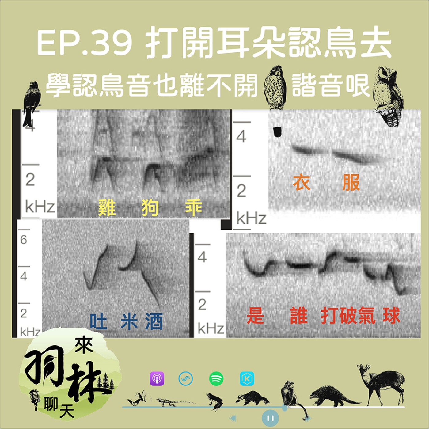 來羽林聊天 EP.39 吐米酒、衣服、雞狗乖、是誰打破氣球/學認鳥音居然也逃不過台灣人最愛的諧音哏? ft. 呂翊維 中華鳥會秘書長 episode artwork
