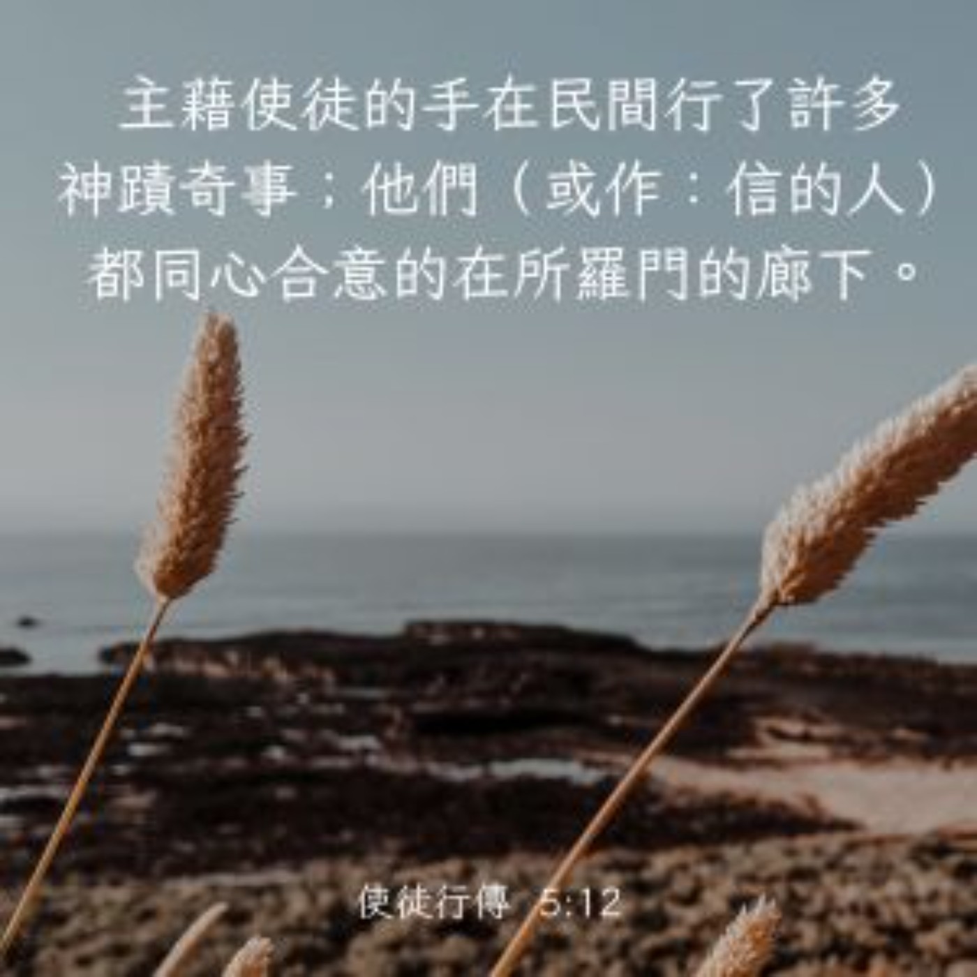 使徒行傳 5:12-16 episode artwork