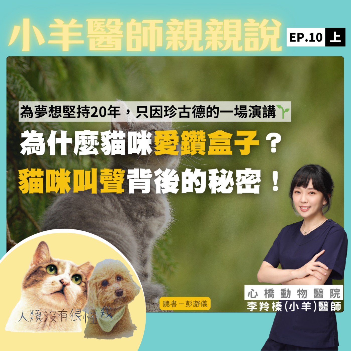 為夢想堅持20年，只因珍古德一場演講｜為什麼貓咪愛鑽盒子？貓咪叫聲背後的秘密！ 心橋動物醫院李羚榛（小羊）醫師X彭瀞儀｜小羊醫師親親說EP10上