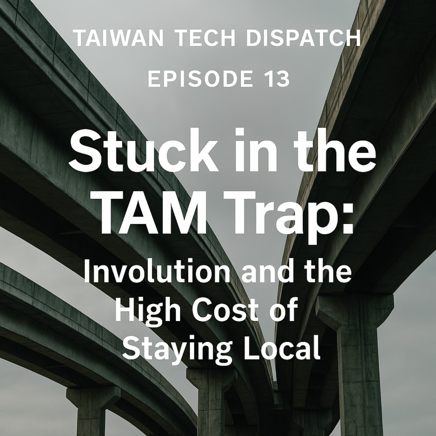 Episode 13: Stuck in the TAM Trap: Involution and the High Cost of Staying Local episode artwork